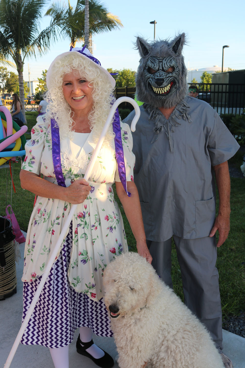 Pet Masquerade 2018 photo - Duval Street, Key West